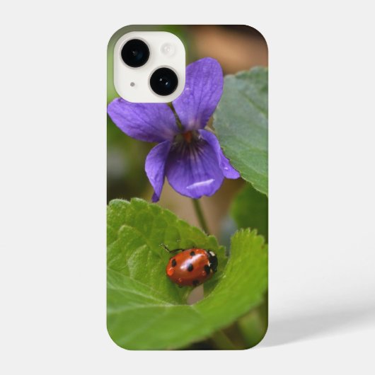 Ladybug über süße Violettsorten-Blume iPhone Hülle (Rückseite)