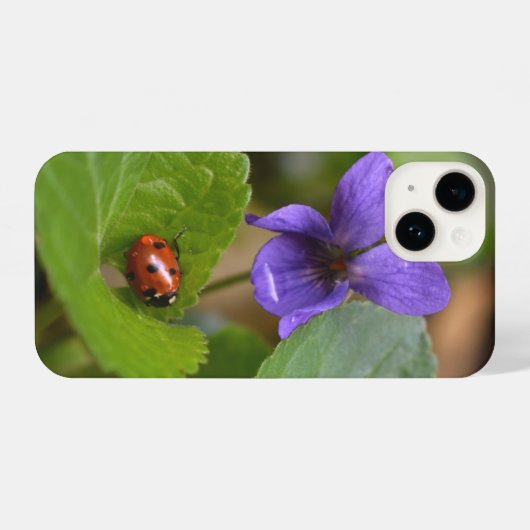 Ladybug über süße Violettsorten-Blume iPhone Hülle (Rückseite (Horizontal))