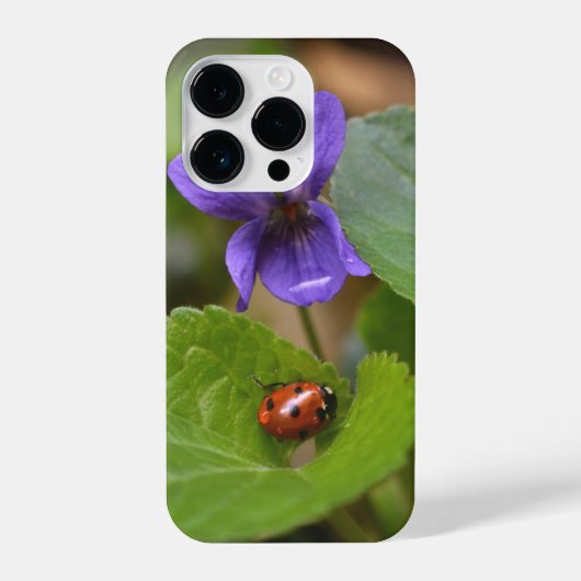 Ladybug über süße Violettsorten-Blume iPhone Hülle (Rückseite)