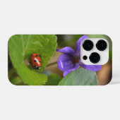 Ladybug über süße Violettsorten-Blume iPhone Hülle (Rückseite (Horizontal))