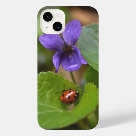 Ladybug über süße Violettsorten-Blume iPhone Hülle (Rückseite)