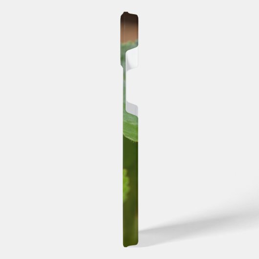 Ladybug über süße Violettsorten-Blume iPhone Hülle (Linke Seite)