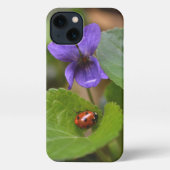 Ladybug über süße Violettsorten-Blume iPhone Hülle (Rückseite)