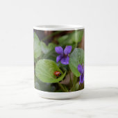 Ladybug über süße Violettsorten-Blume Kaffeetasse (Mittel)