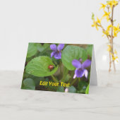Ladybug über süße Violettsorten-Blume Karte (Gelbe Blume)