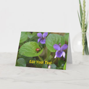 Ladybug über süße Violettsorten-Blume Karte