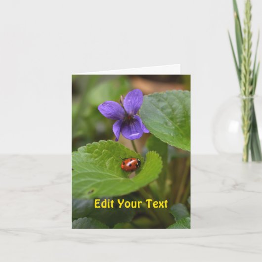 Ladybug über süße Violettsorten-Blume Karte (Vorderseite)