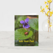 Ladybug über süße Violettsorten-Blume Karte (Gelbe Blume)
