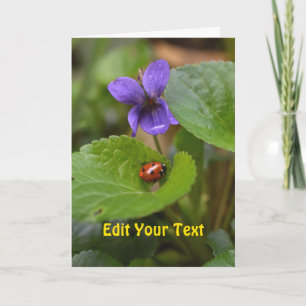 Ladybug über süße Violettsorten-Blume Karte