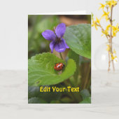Ladybug über süße Violettsorten-Blume Karte (Gelbe Blume)