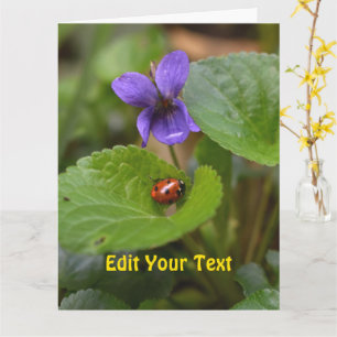 Ladybug über süße Violettsorten-Blume Karte