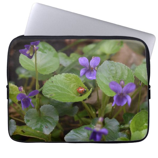 Ladybug über süße Violettsorten-Blume Laptopschutzhülle (Vorderseite)