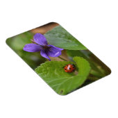 Ladybug über süße Violettsorten-Blume Magnet (Rechte Seite)