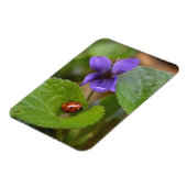 Ladybug über süße Violettsorten-Blume Magnet (Linke Seite)