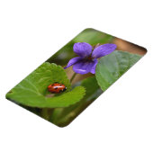 Ladybug über süße Violettsorten-Blume Magnet (Linke Seite)