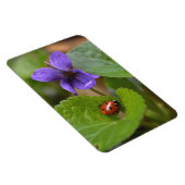 Ladybug über süße Violettsorten-Blume Magnet (Rechte Seite)
