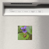 Ladybug über süße Violettsorten-Blume Magnet (In Situ (Geschirrspüler))