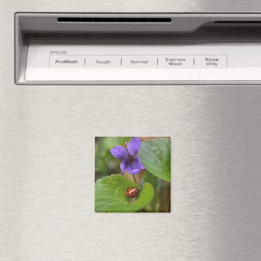 Ladybug über süße Violettsorten-Blume Magnet (In Situ (Geschirrspüler))