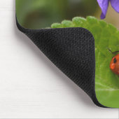 Ladybug über süße Violettsorten-Blume Mousepad (Ecke)