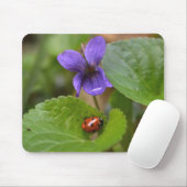 Ladybug über süße Violettsorten-Blume Mousepad (Mit Mouse)