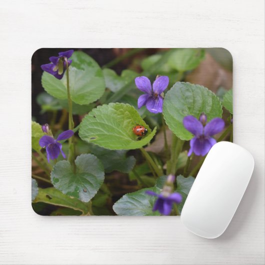 Ladybug über süße Violettsorten-Blume Mousepad (Mit Mouse)