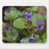 Ladybug über süße Violettsorten-Blume Mousepad (Vorne)
