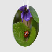 Ladybug über süße Violettsorten-Blume Ornament (Vorderseite)