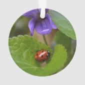 Ladybug über süße Violettsorten-Blume Ornament (Rückseite)