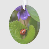Ladybug über süße Violettsorten-Blume Ornament (Vorderseite)