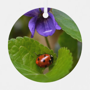 Ladybug über süße Violettsorten-Blume Ornament Aus Metall