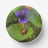 Ladybug über süße Violettsorten-Blume Pappteller (Vorderseite)