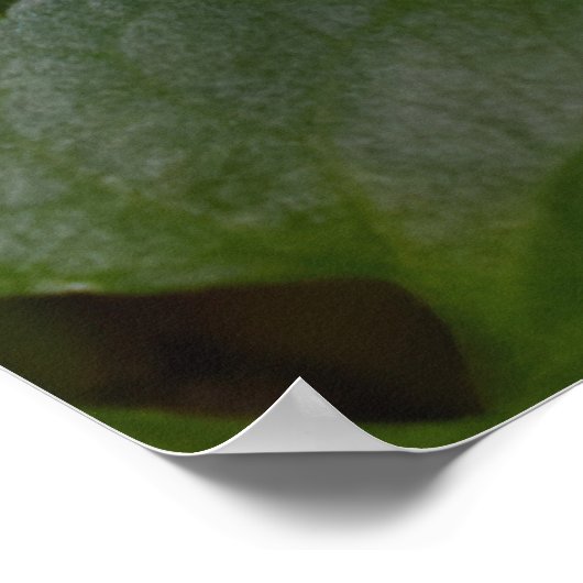 Ladybug über süße Violettsorten-Blume Poster (Ecke)