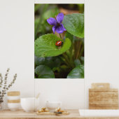 Ladybug über süße Violettsorten-Blume Poster (Küche)