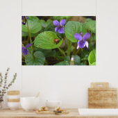 Ladybug über süße Violettsorten-Blume Poster (Küche)
