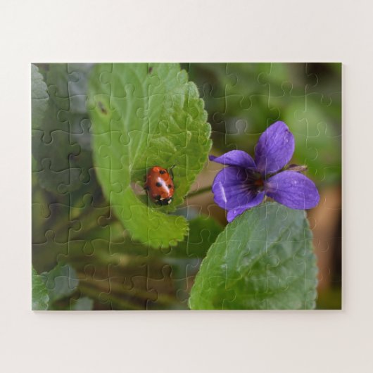 Ladybug über süße Violettsorten-Blume Puzzle (Horizontal)