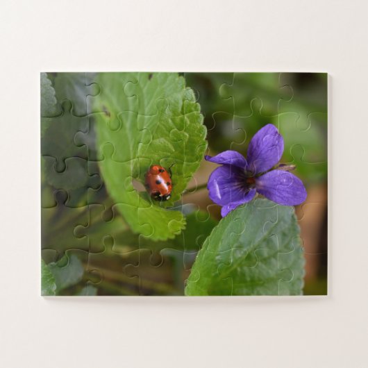Ladybug über süße Violettsorten-Blume Puzzle (Horizontal)