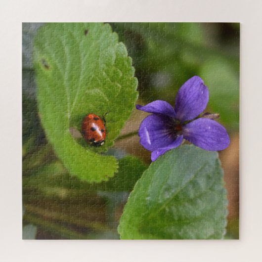 Ladybug über süße Violettsorten-Blume Puzzle (Horizontal)