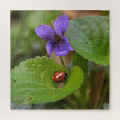 Ladybug über süße Violettsorten-Blume Puzzle (Vertikal)