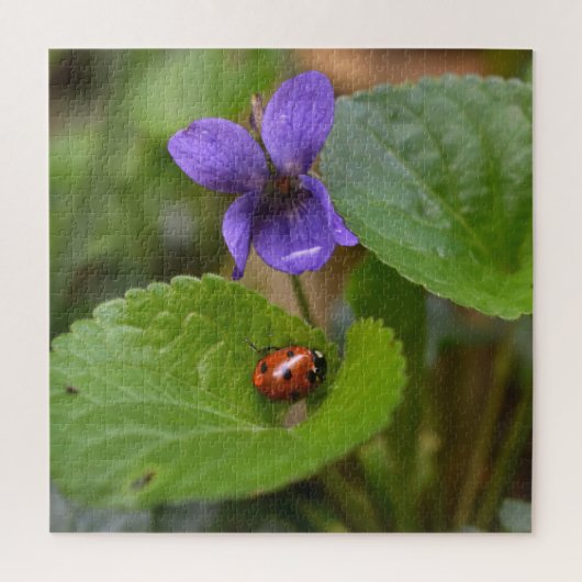 Ladybug über süße Violettsorten-Blume Puzzle (Vertikal)
