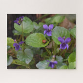 Ladybug über süße Violettsorten-Blume Puzzle (Horizontal)