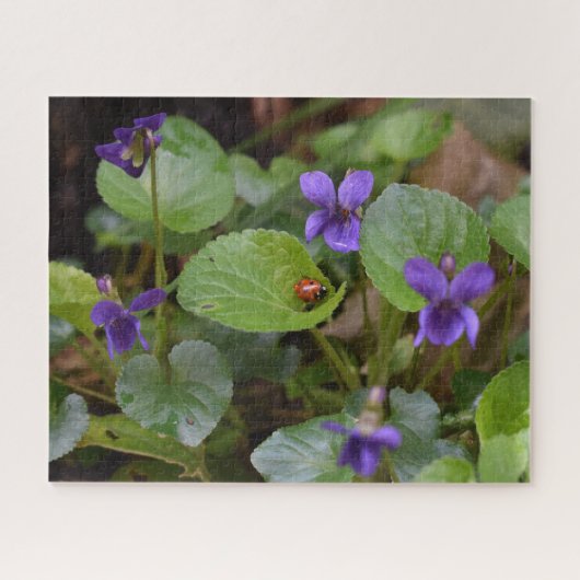 Ladybug über süße Violettsorten-Blume Puzzle (Horizontal)