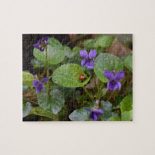 Ladybug über süße Violettsorten-Blume Puzzle (Horizontal)
