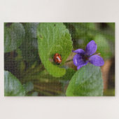 Ladybug über süße Violettsorten-Blume Puzzle (Horizontal)