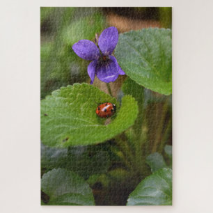 Ladybug über süße Violettsorten-Blume Puzzle