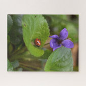 Ladybug über süße Violettsorten-Blume Puzzle (Horizontal)