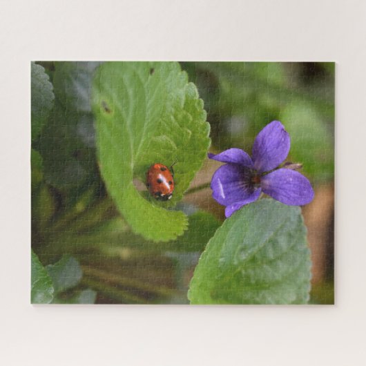 Ladybug über süße Violettsorten-Blume Puzzle (Horizontal)
