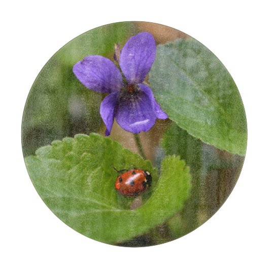 Ladybug über süße Violettsorten-Blume Schneidebrett (Vorderseite)