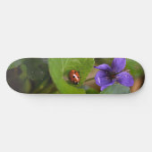 Ladybug über süße Violettsorten-Blume Skateboard (Horizontal)