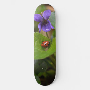 Ladybug über süße Violettsorten-Blume Skateboard