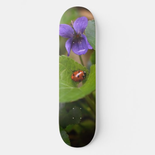 Ladybug über süße Violettsorten-Blume Skateboard (Vorderseite)